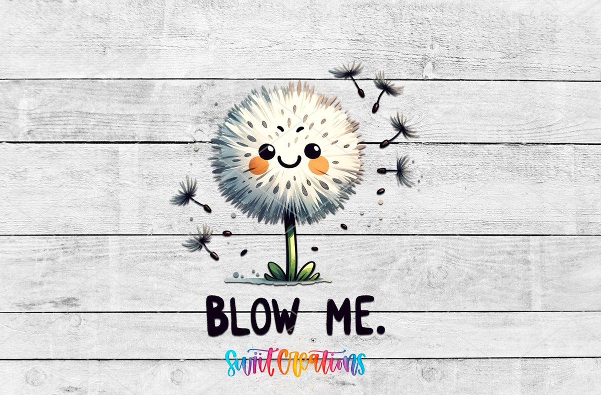 Blow Me Funny Sassy UV DTF transfer shown as a full artwork preview from Swiit Creations
