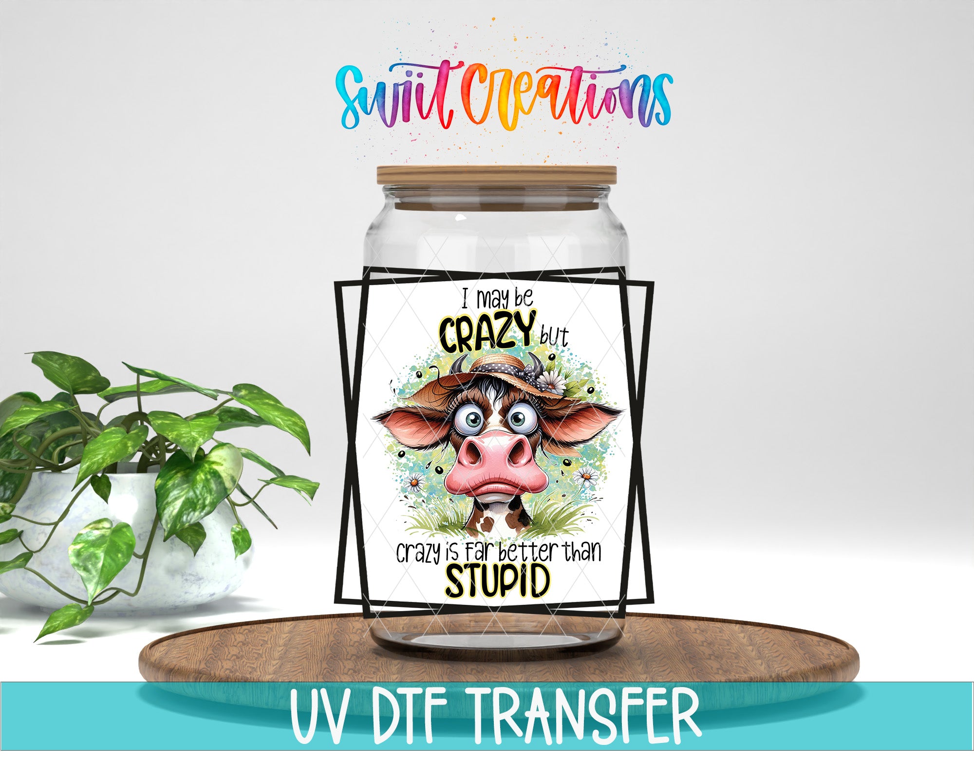 a glass jar with a label that includes a cartoon cow and the text "I may be crazy but crazy is worse than stupid". The jar is placed on a wooden tray, and there is a potted plant in the background.