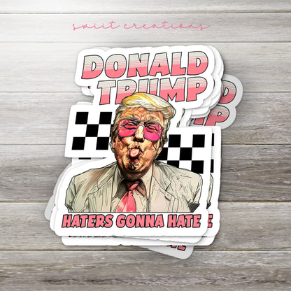 Haters Gonna Hate Sticker SS942 - Swiit Creations
