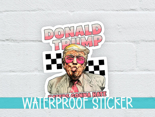 Haters Gonna Hate Sticker SS942 - Swiit Creations