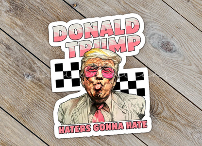 Haters Gonna Hate Sticker SS942 - Swiit Creations