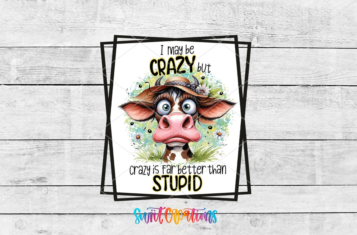 I May Be Crazy but Crazy is Far Better Than Stupid UV DTF Cup Decal | UV876 - Swiit Creations