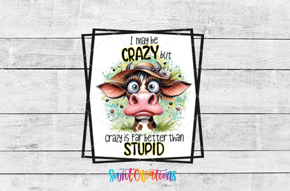 I May Be Crazy but Crazy is Far Better Than Stupid UV DTF Cup Decal | UV876 - Swiit Creations