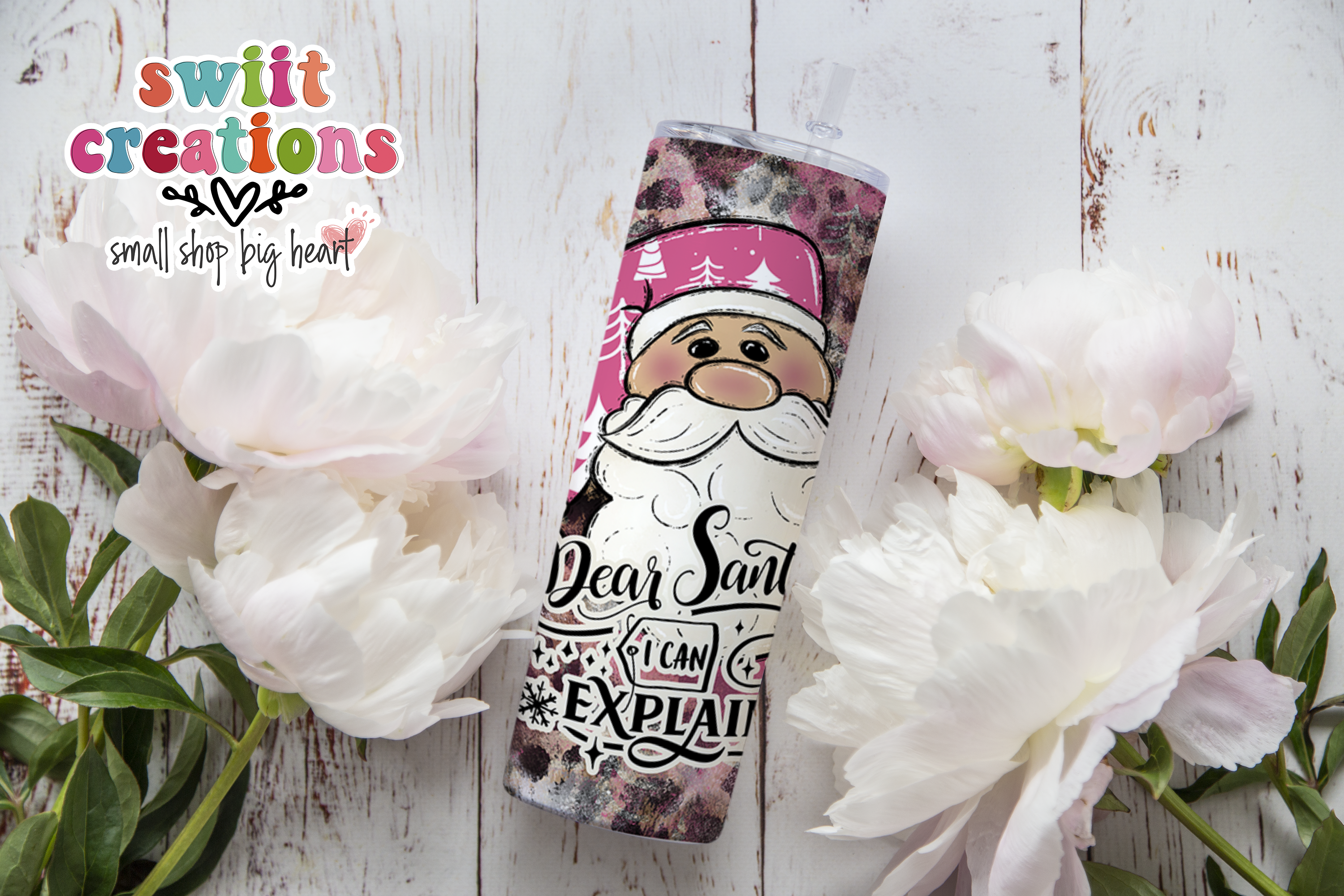Santa I Can Explain Tumbler (T304)